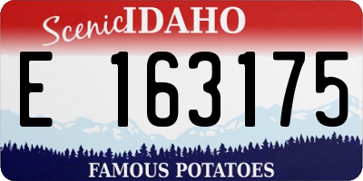 ID license plate E163175