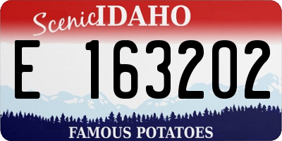 ID license plate E163202