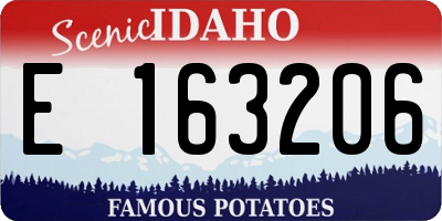 ID license plate E163206