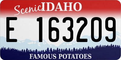 ID license plate E163209