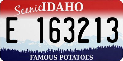 ID license plate E163213