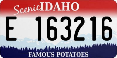 ID license plate E163216