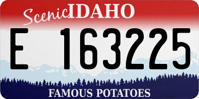 ID license plate E163225
