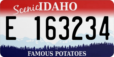 ID license plate E163234