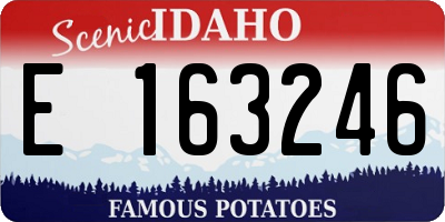ID license plate E163246