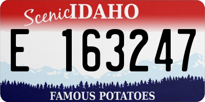 ID license plate E163247