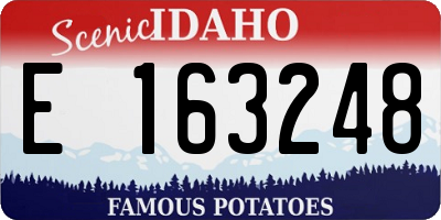 ID license plate E163248