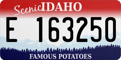 ID license plate E163250