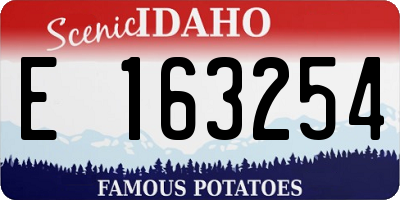 ID license plate E163254