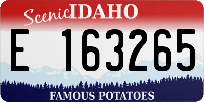 ID license plate E163265