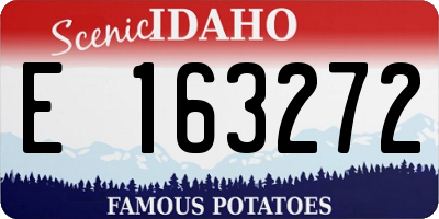 ID license plate E163272