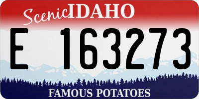 ID license plate E163273