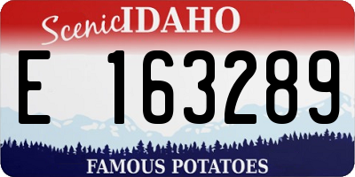 ID license plate E163289