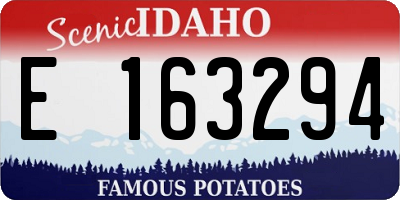 ID license plate E163294