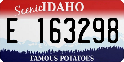 ID license plate E163298