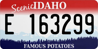 ID license plate E163299