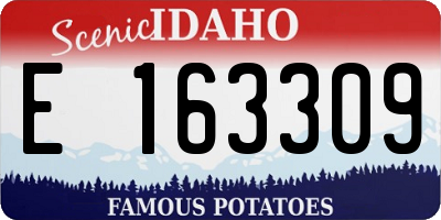 ID license plate E163309