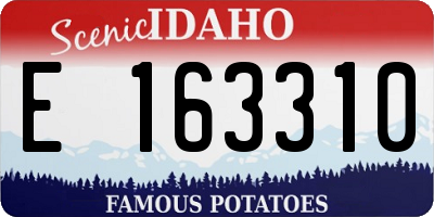 ID license plate E163310