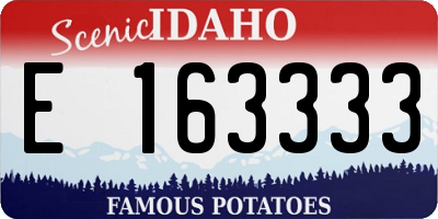 ID license plate E163333