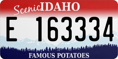 ID license plate E163334
