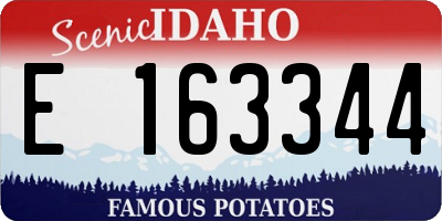 ID license plate E163344