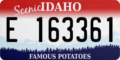 ID license plate E163361