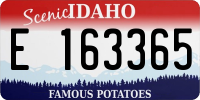 ID license plate E163365