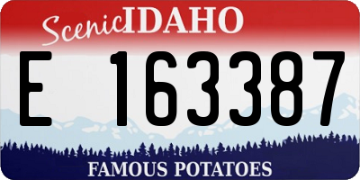 ID license plate E163387