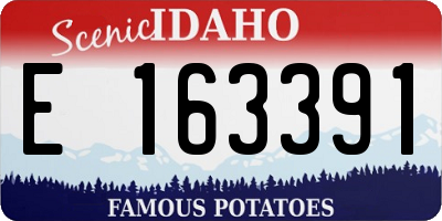 ID license plate E163391