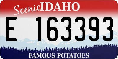 ID license plate E163393