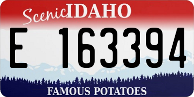 ID license plate E163394