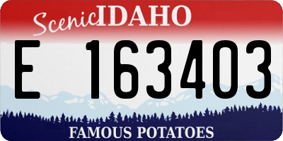 ID license plate E163403