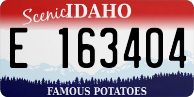 ID license plate E163404