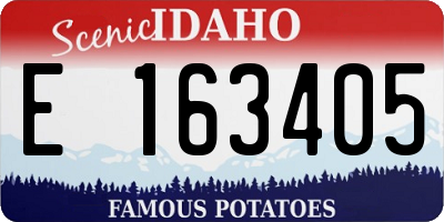 ID license plate E163405