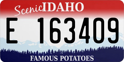 ID license plate E163409