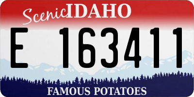 ID license plate E163411