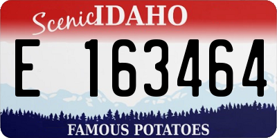 ID license plate E163464