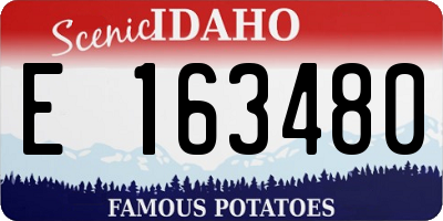ID license plate E163480
