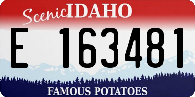 ID license plate E163481