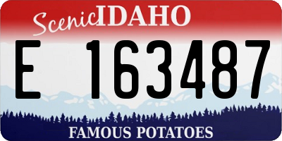 ID license plate E163487