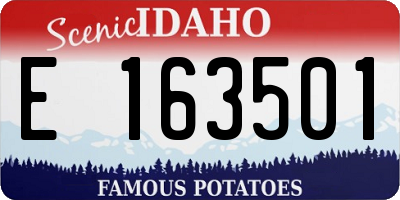 ID license plate E163501