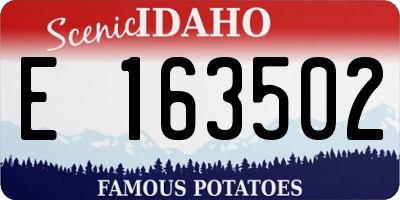 ID license plate E163502