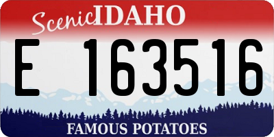ID license plate E163516