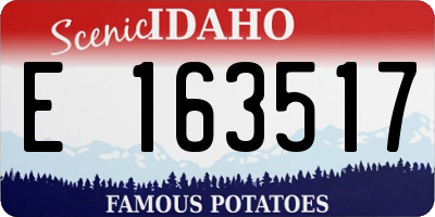 ID license plate E163517