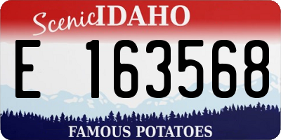ID license plate E163568