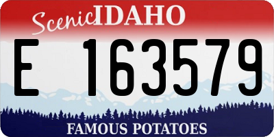 ID license plate E163579