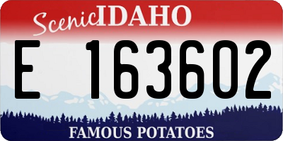 ID license plate E163602