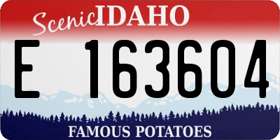 ID license plate E163604