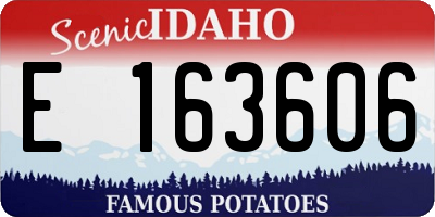ID license plate E163606
