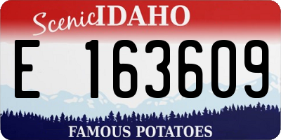 ID license plate E163609